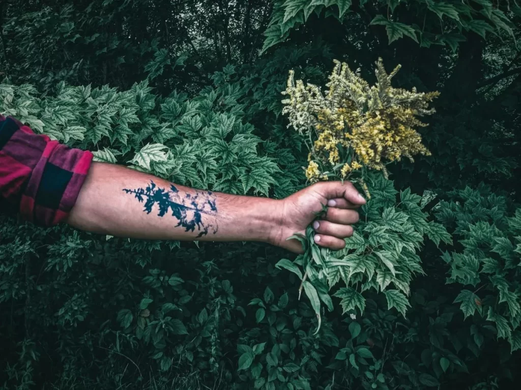 Ideas para tatuajes inspirados en la naturaleza.