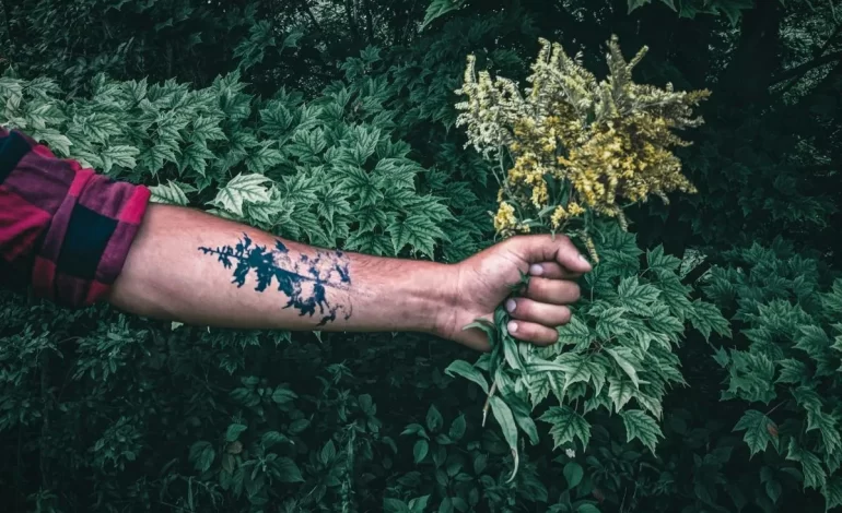 Tatuajes inspirados en la naturaleza y su significado simbólico