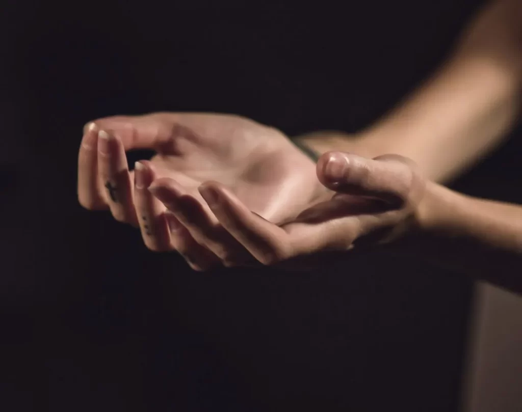 Zona externa del antebrazo